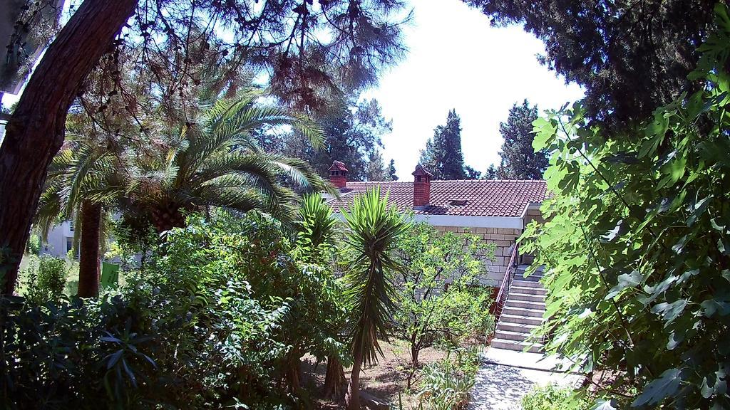 Vuksanovic Apartment Χέρτσεγκ Νόβι Εξωτερικό φωτογραφία